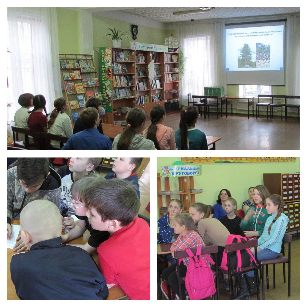 Виртуальное путешествие по Красноярскому краю